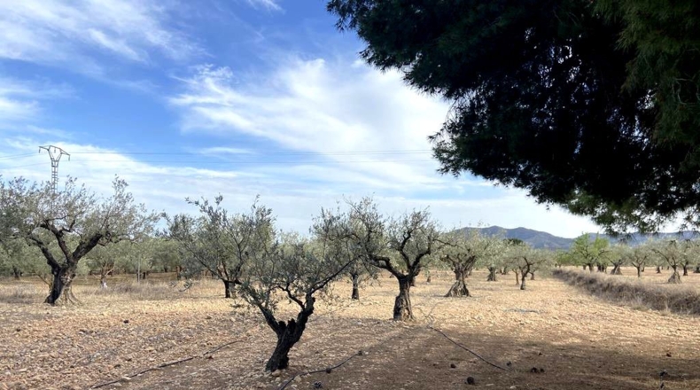 Albacete - Caudete - 9450m2