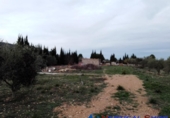 Chalet independiente con terreno en venta en Alcalá del Júcar ref: TR81026 foto