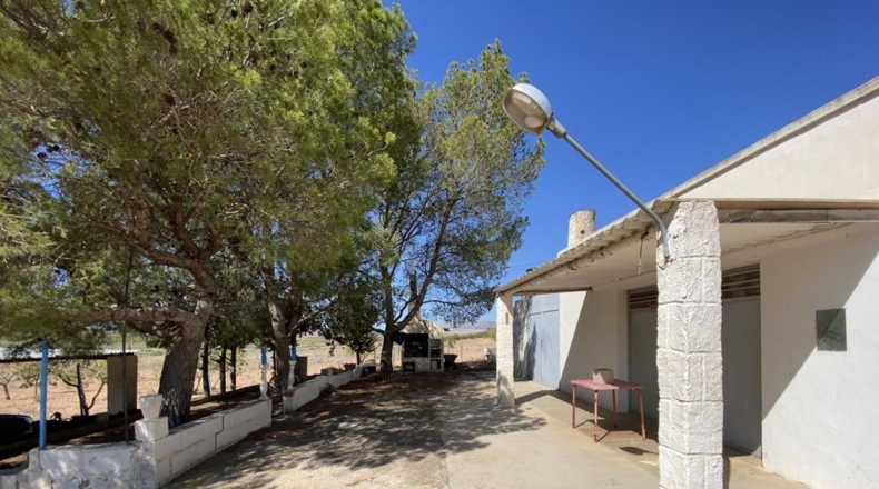 Murcia - Murcia - 12140m2