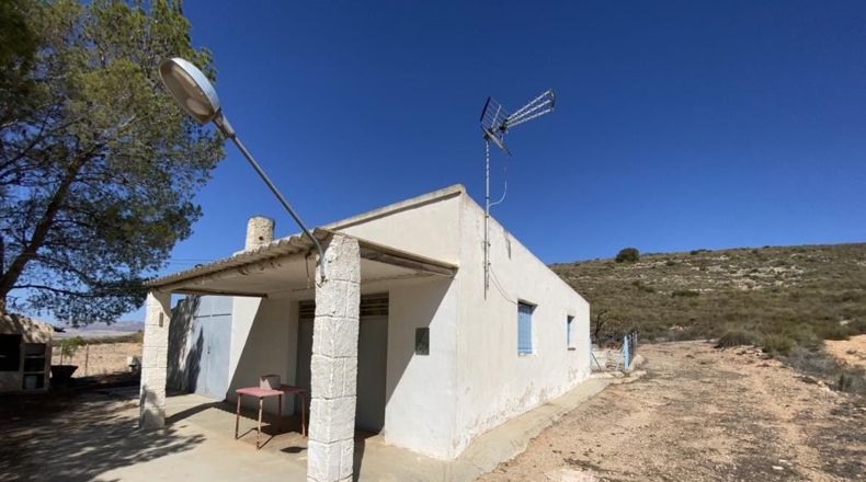 Murcia - Murcia - 12140m2