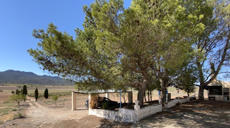 Murcia - Murcia - 12140m2