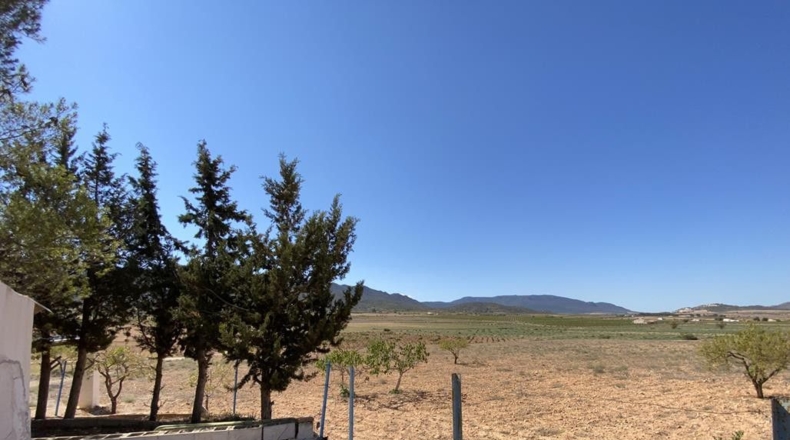 Murcia - Murcia - 12140m2