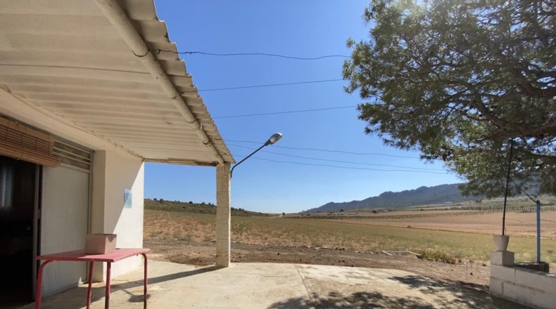 Murcia - Murcia - 12140m2