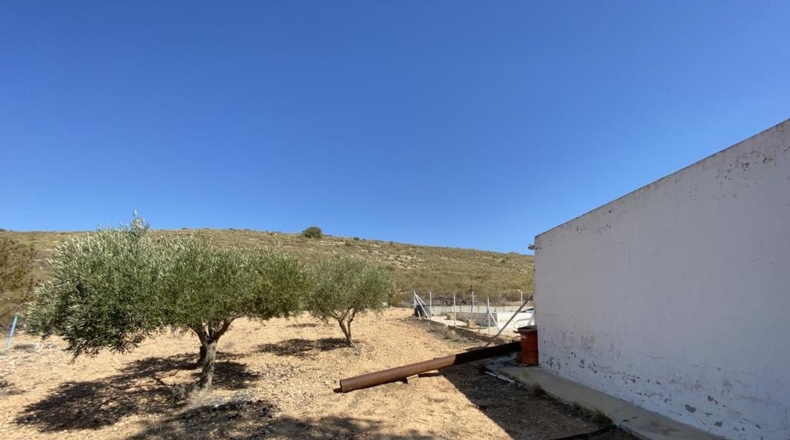 Murcia - Murcia - 12140m2