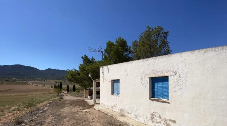 Murcia - Murcia - 12140m2
