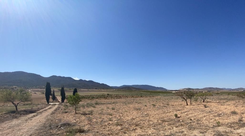 Murcia - Murcia - 12140m2