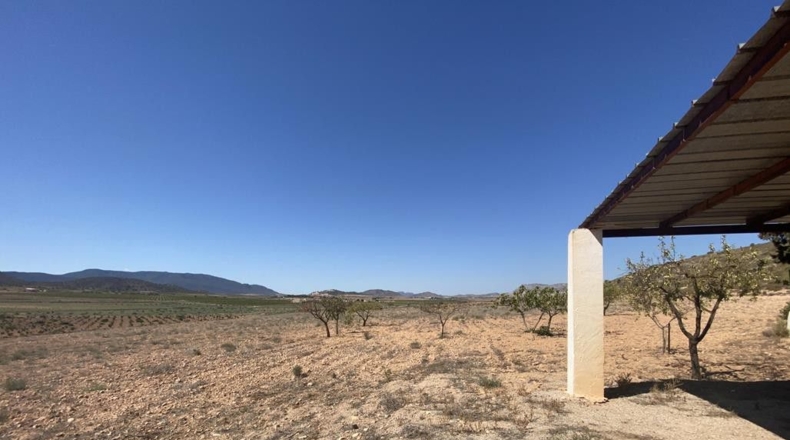 Murcia - Murcia - 12140m2