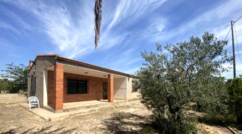 Albacete - Caudete - 5545m2