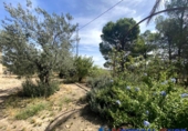 Chalet independiente con terreno en venta en Caudete ref: TR203886 foto