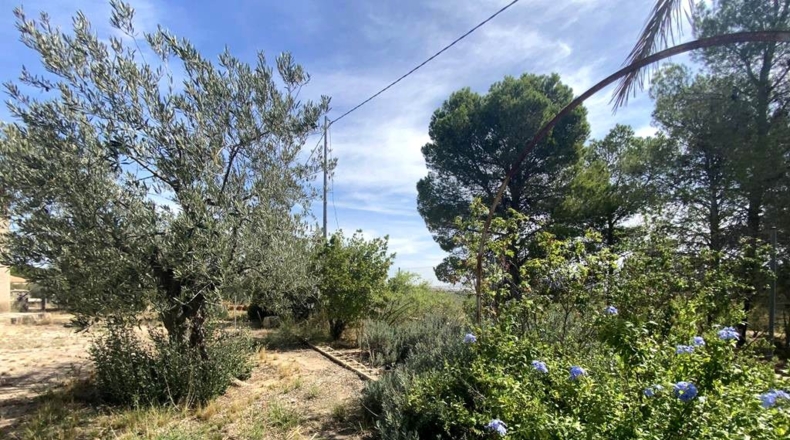 Albacete - Caudete - 5545m2