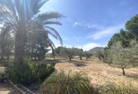 Foto 18