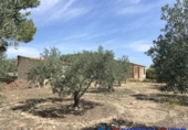 Chalet independiente con terreno en venta en Caudete ref: TR203886 foto
