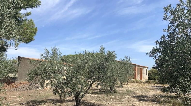 Albacete - Caudete - 5545m2