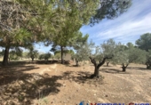 Chalet independiente con terreno en venta en Caudete ref: TR203886 foto