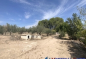 Chalet independiente con terreno en venta en Caudete ref: TR203886 foto