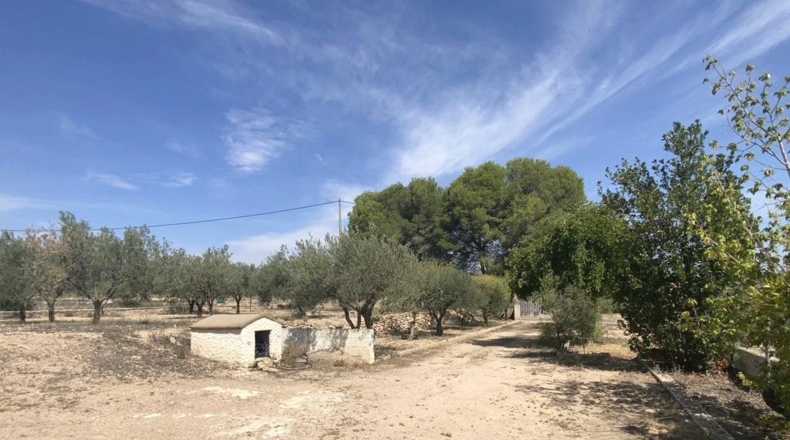 Albacete - Caudete - 5545m2