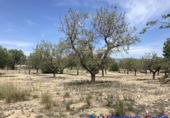 Chalet independiente con terreno en venta en Caudete ref: TR203886 foto
