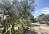 Chalet independiente con terreno en venta en Caudete ref: TR203886 foto