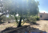 Chalet independiente con terreno en venta en Caudete ref: TR203886 foto