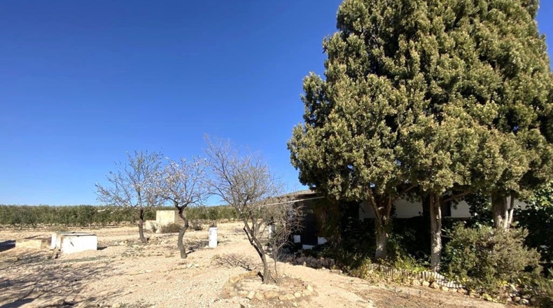 Albacete - Caudete - 4136m2