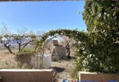 Chalet independiente con terreno en venta en Almansa ref: TR285369 foto