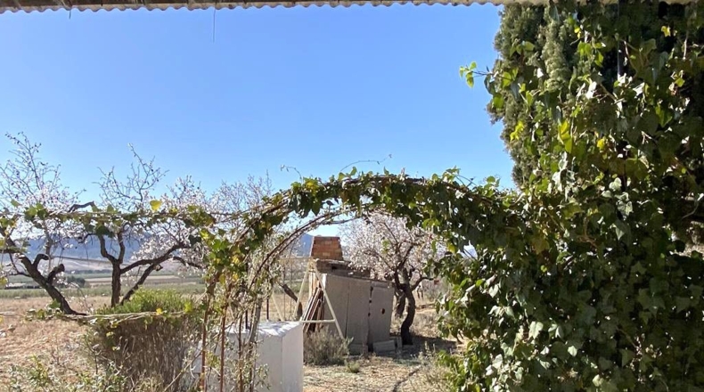 Albacete - Caudete - 4136m2