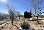 Chalet independiente con terreno en venta en Almansa ref: TR285369 foto