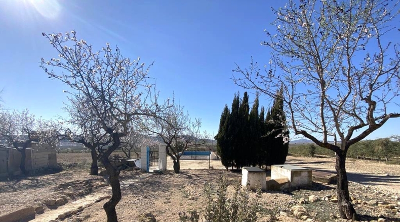 Albacete - Caudete - 4136m2