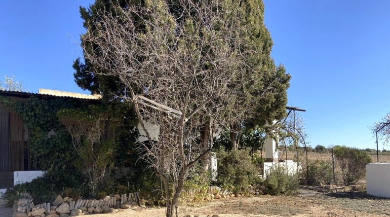 Albacete - Caudete - 4136m2