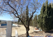 Chalet independiente con terreno en venta en Almansa ref: TR285369 foto