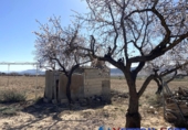 Chalet independiente con terreno en venta en Almansa ref: TR285369 foto