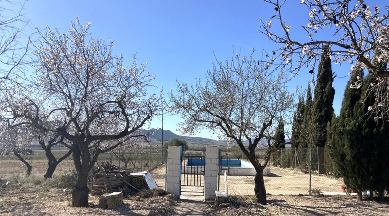 Albacete - Caudete - 4136m2