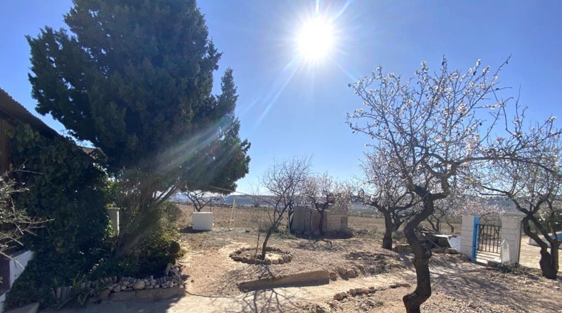 Albacete - Caudete - 4136m2