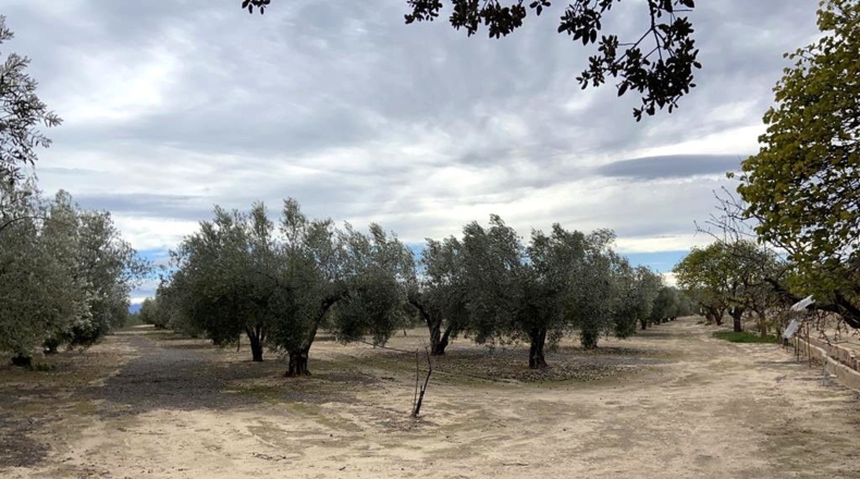 Albacete - Caudete - 15m2