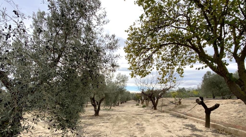 Albacete - Caudete - 15m2