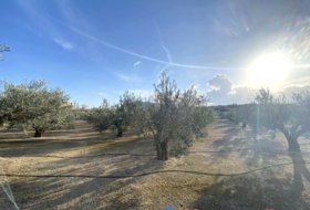 Cabdet 10911&nbsp;m² 