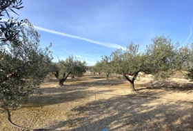 Cabdet 10911&nbsp;m² 