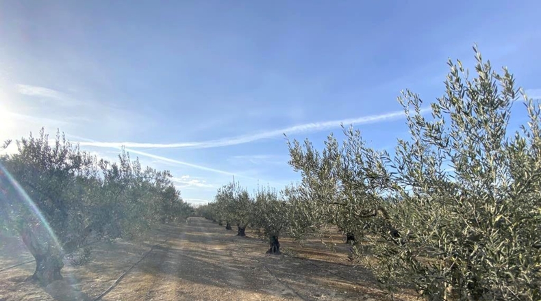 Albacete - Caudete - 10911m2