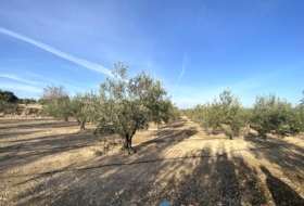 Cabdet 10911&nbsp;m² 