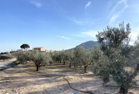 Cabdet 10911&nbsp;m² 