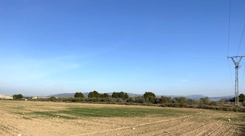 Jaén - Alcaudete - 21537m2