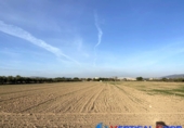 Terreno no urbanizable en venta en Caudete ref: TR363912 foto