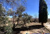 Chalet independiente con terreno en venta en Caudete ref: TR277804 foto