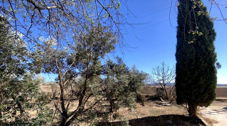 Albacete - Caudete - 8367m2