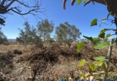 Chalet independiente con terreno en venta en Caudete ref: TR277804 foto