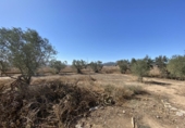 Chalet independiente con terreno en venta en Caudete ref: TR277804 foto