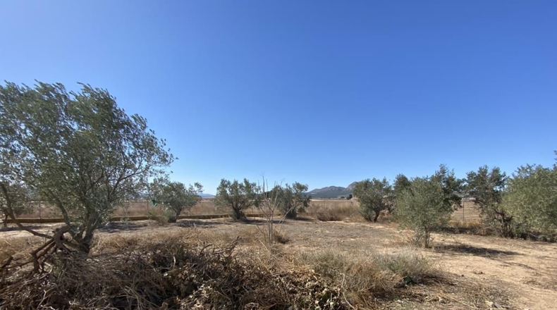 Albacete - Caudete - 8367m2