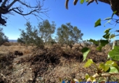 Chalet independiente con terreno en venta en Caudete ref: TR277804 foto