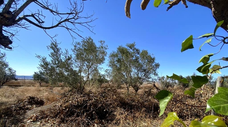 Albacete - Caudete - 8367m2