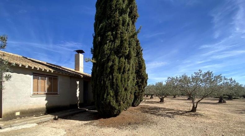 Albacete - Almansa - 3119m2